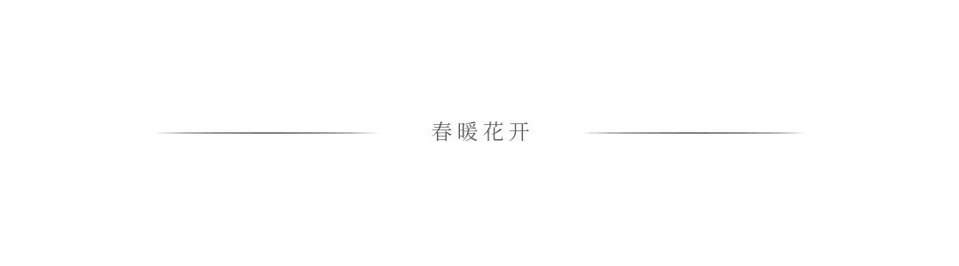 陈春花:数智技术的本质是赋能人,而不是取代人