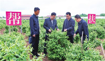 从渤海之滨到黄土高原,天津,甘肃并肩携手走过了28个春秋.