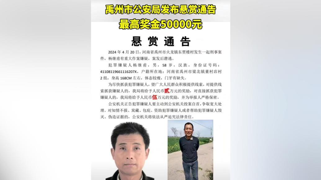 刑事案件树