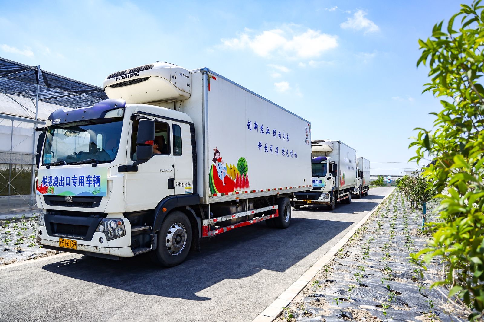 5月18日,首批出口香港的南汇8424西瓜和三林崩瓜坐上专车,开启出口之