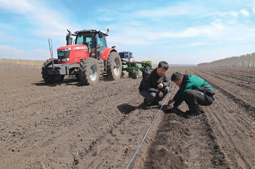 　　图为北大荒北安分公司农业技术人员正在检查托管地块大豆播种质量。　任忠良　摄