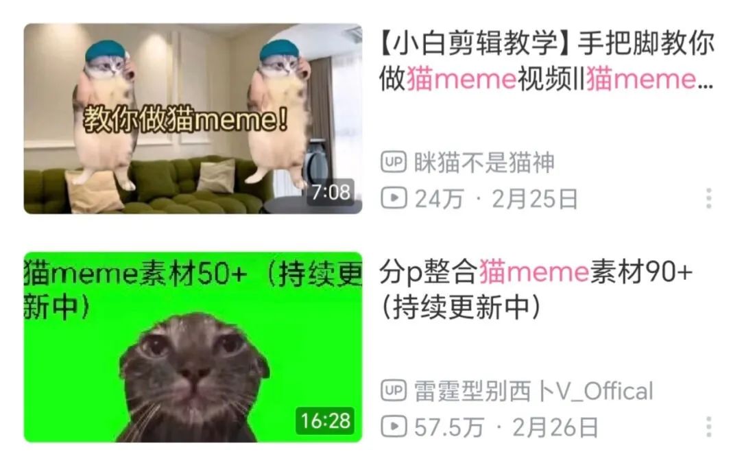 猫meme为何让人上头？网友：新时代的“赛博散文”……|猫_新浪财经_新浪网