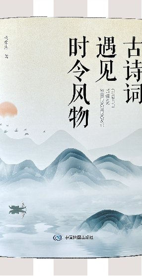logo是中国地图的大鹅图片