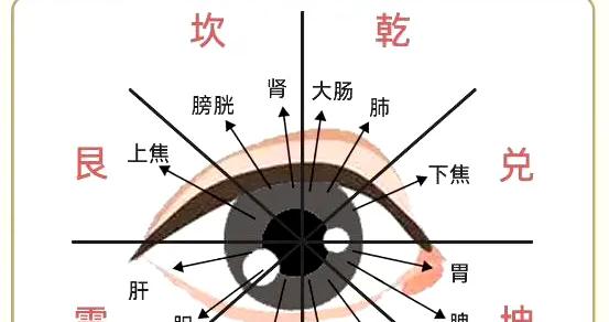 中医目睛五轮歌诀_新浪新闻