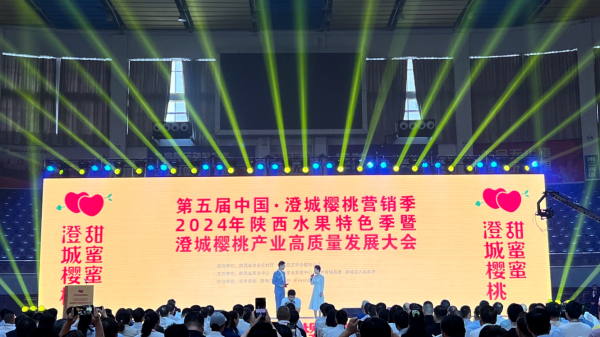 第五届中国·澄城樱桃营销季2024年陕西水果特色季活动在澄城县启动