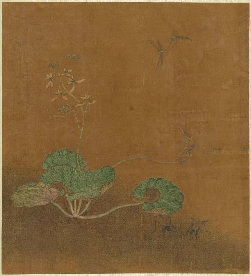收藏的元代王渊(传)《 虎耳草》画一株开花中的虎耳草,还有蟋蟀,豆娘