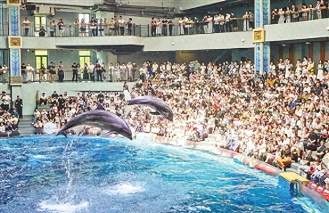聚焦"中国旅游日" 来场郑州"特色游"