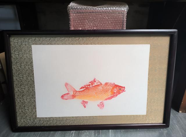 鱼拓——鱼的早期照片