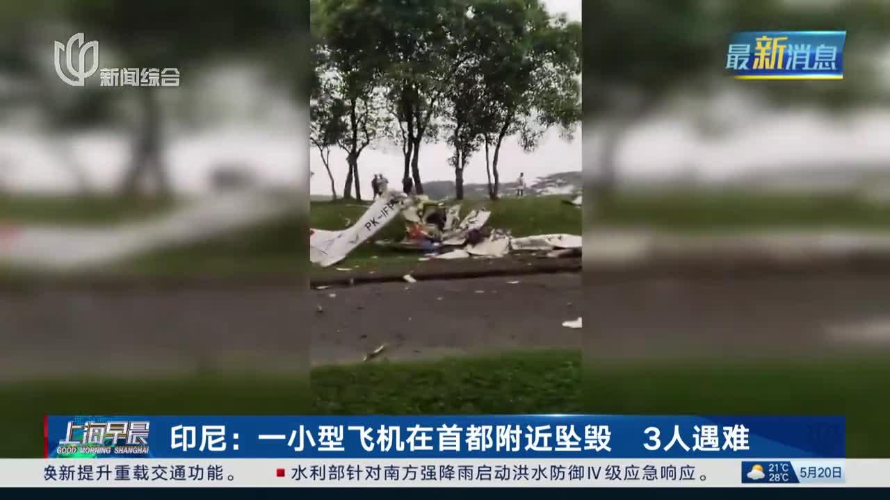 印尼:一小型飞机在首都附近坠毁 3人遇难