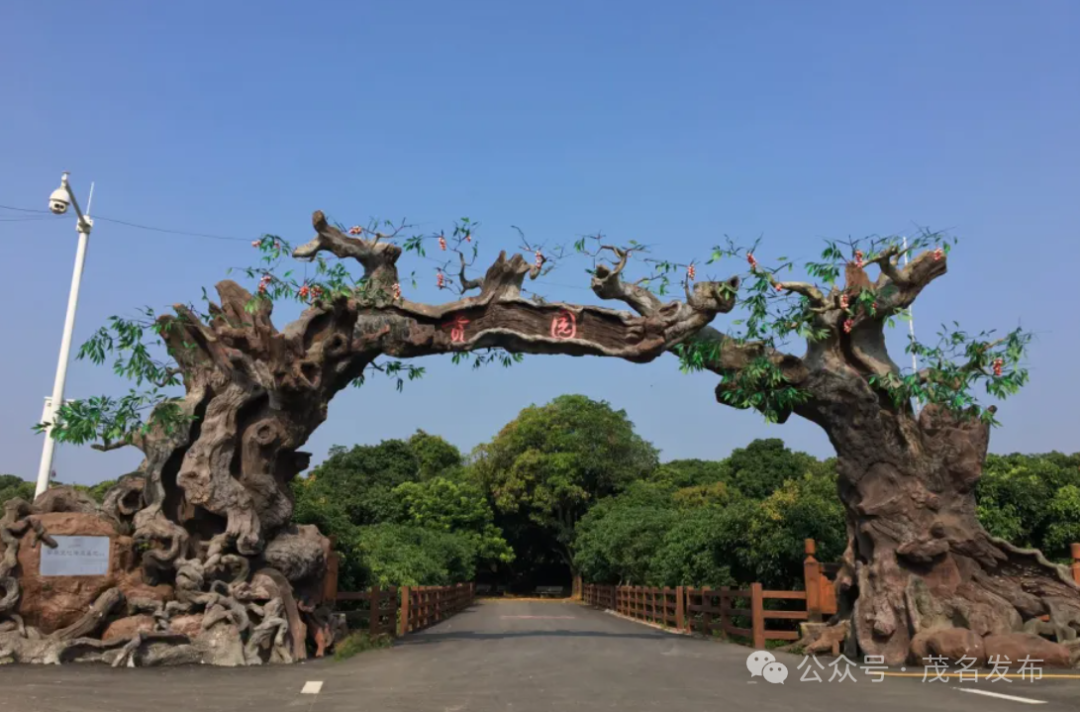茂名荔枝产业链十大项目,成就荔枝产业"最靓的仔"——世界荔枝产业