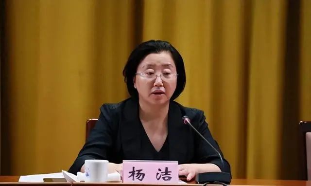 杨洁,女,汉族,1967年8月生,天津蓟县人,1991年11月入党,省委党校在职