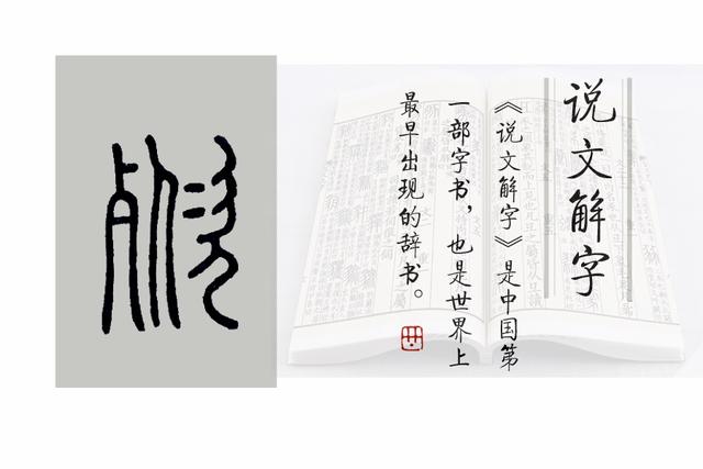 《说文解字》第803课：古时候，诸侯死了为啥叫“薨”？