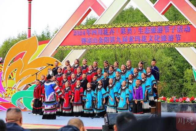 金阳第九届索玛花文化旅游节开幕,十万亩索玛花海助力文旅强县