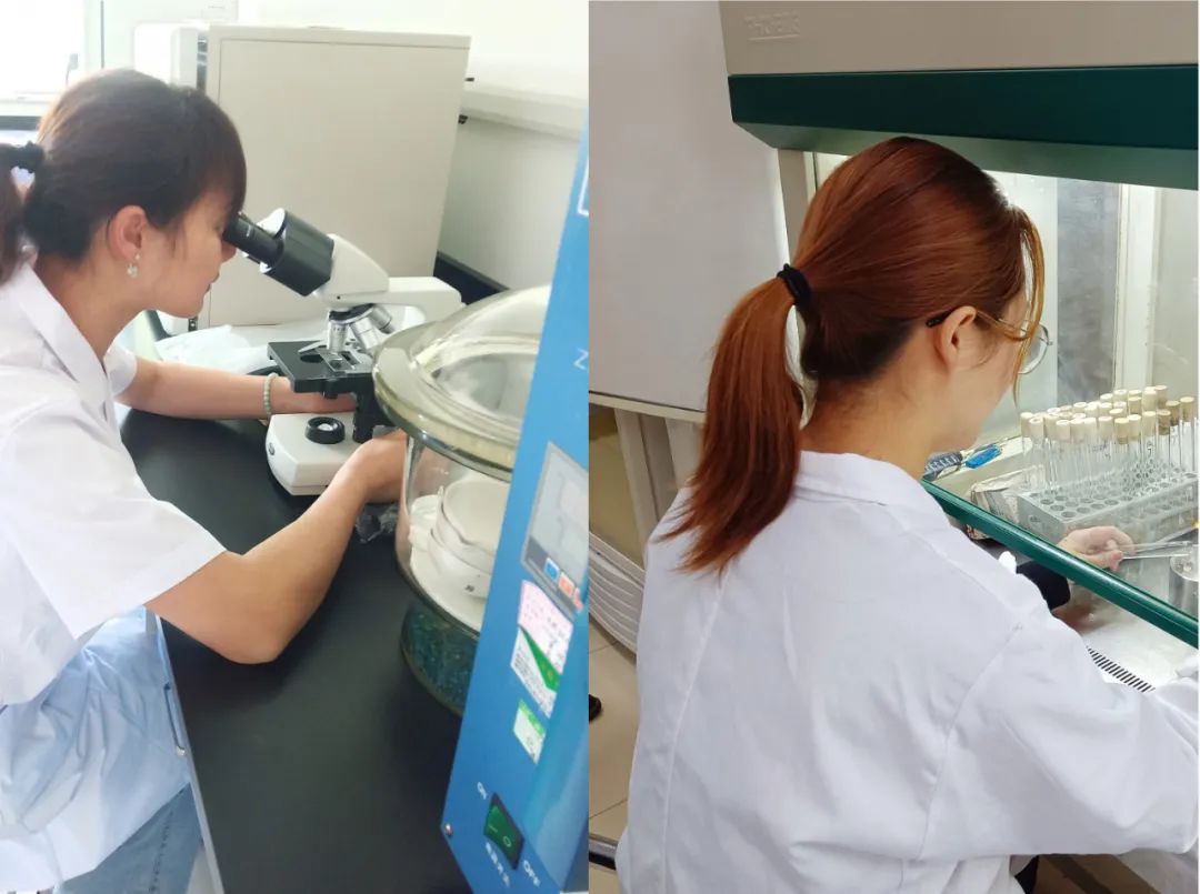 内卷的白酒消费市场,传统酒企如何提升品牌价值和市场影响力?