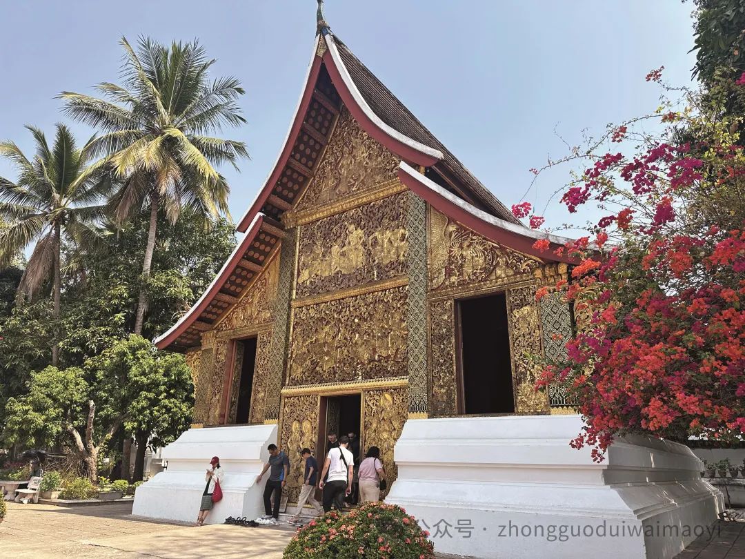 【商旅生活】坐着高铁游老挝!