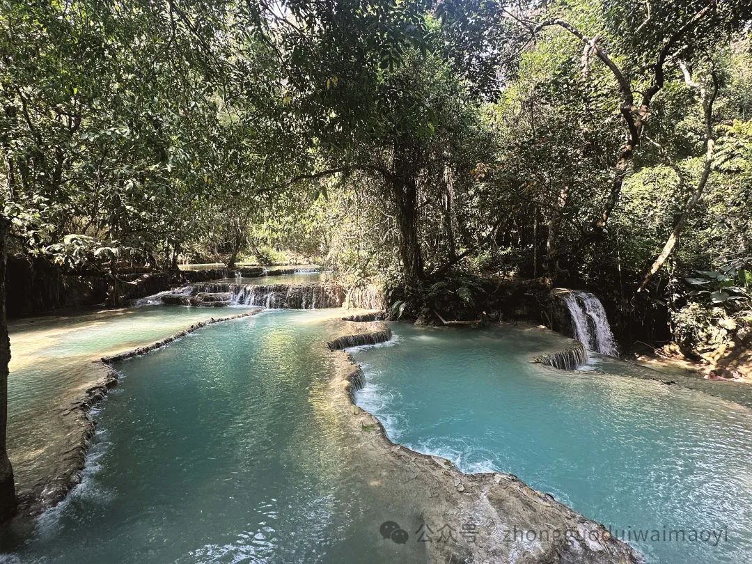 【商旅生活】坐着高铁游老挝!