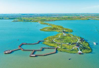 张 鹏摄(人民视觉)雄安郊野公园城市森林区域.胡 忠摄(人民视觉)