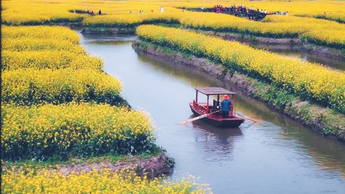 "垛田"十年,如何续写"农遗"新故事?