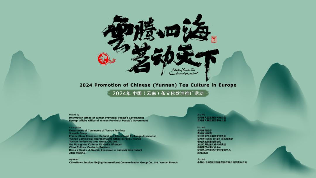 一片云南"树叶"何以"茗"动天下?