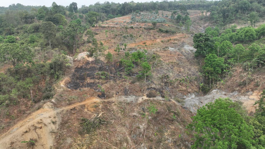 2024年4月17日，督察组暗查发现，临沧市临翔区蚂蚁堆乡大片天然林被毁。（督察组供图）