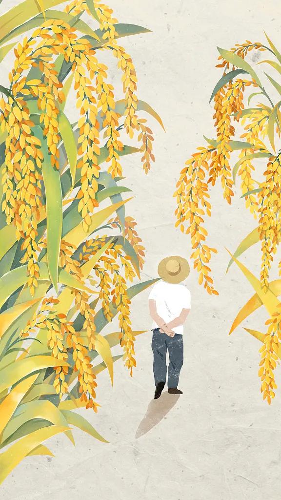 "|袁隆平_新浪财经_新浪网