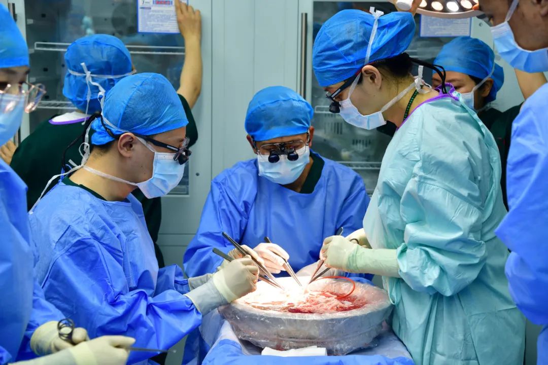 世界首例!在昆明完成