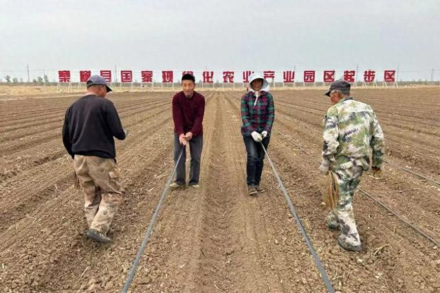 梨树县:"水肥一体化" 节水成效大