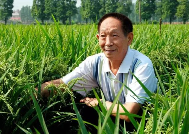 袁隆平_新浪财经_新浪网