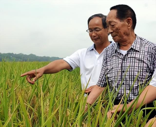袁隆平_新浪财经_新浪网