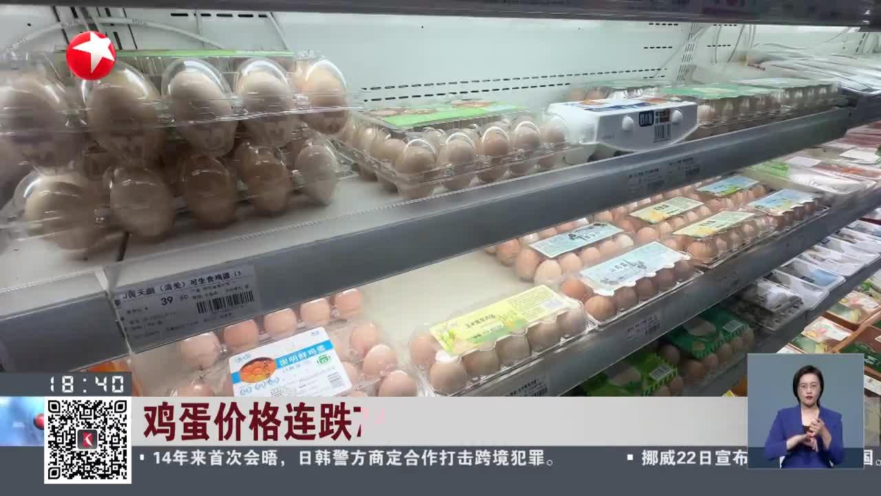 鸡蛋价格连跌7个月 养殖业加速"洗牌"