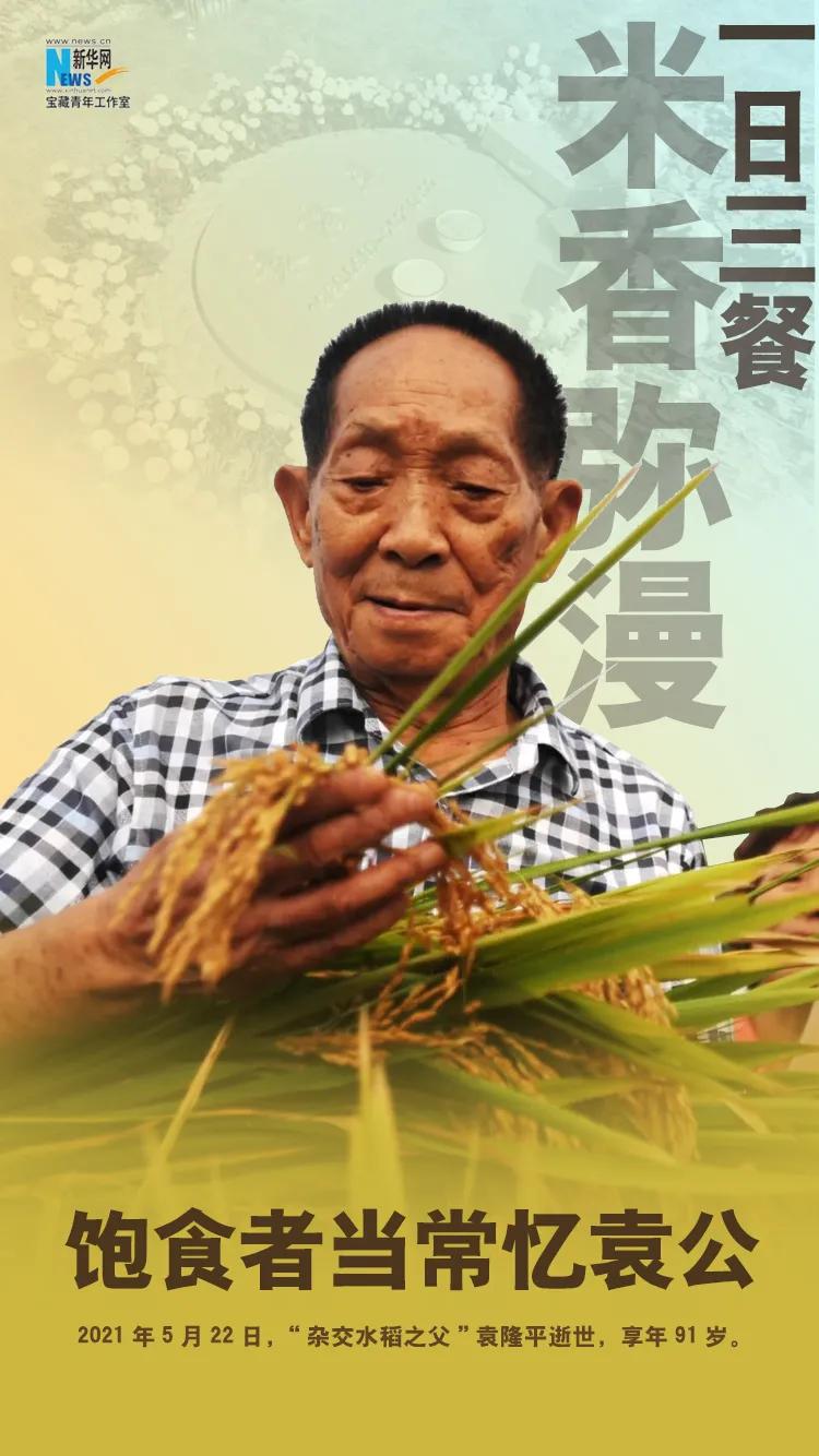 今天,格外想念……|袁隆平_新浪财经_新浪网