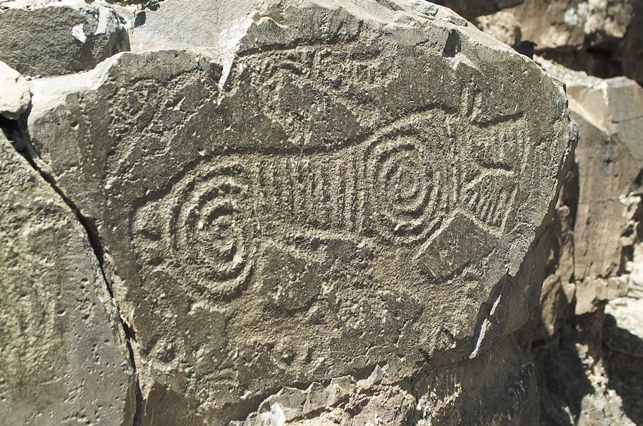 岩画描绘的虎在宁夏先民的精神世界里,他们笃信着"万物有灵",凡事皆有