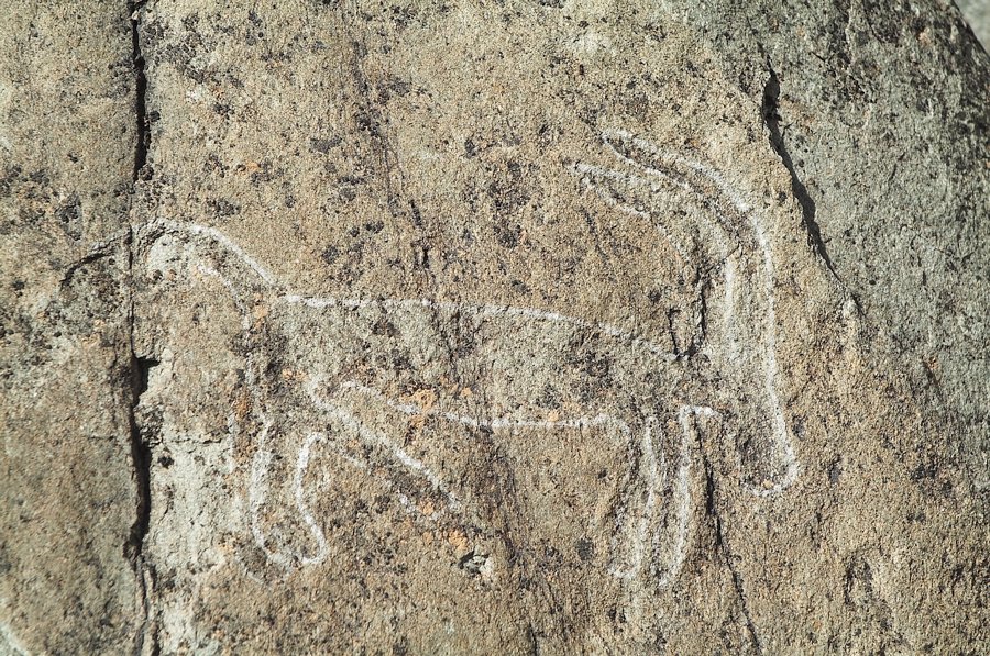 岩画描绘的羊岩画描绘的牛岩画描绘的虎在宁夏先民的精神世界里,他们