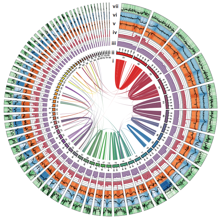 十年,绘一张中华鲟"生命地图"|论文_新浪财经_新浪网