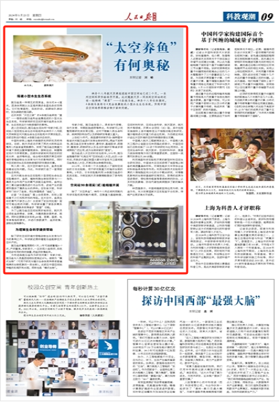 "太空养鱼"有何奥秘