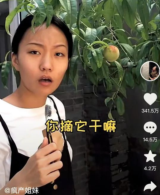 张含韵_新浪财经_新浪网