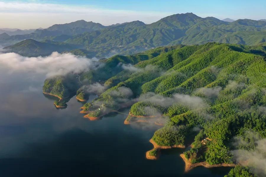 安徽六安:"红绿融合"绘就乡村振兴新画卷