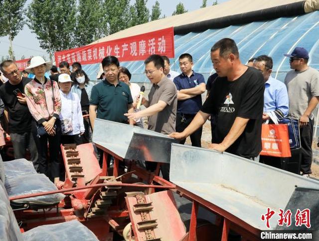 5月23日，景县一生态家庭农场，与会人员观摩设施蔬菜机械展示。武志库 摄