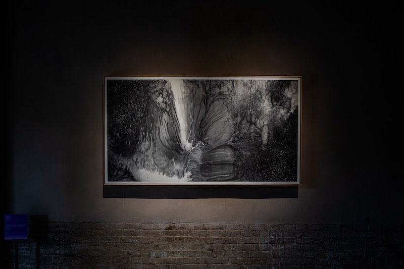 策展记|名物,通感与造艺:牡丹新编