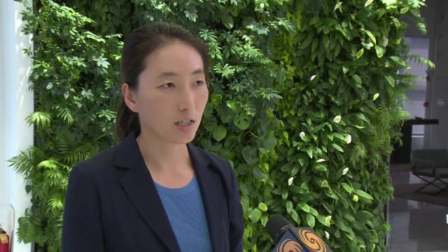 恒生银行中国首席经济学家王丹:3000亿保障性住房再贷款助力去库存|保障性住房|去库存|商品房_新浪新闻