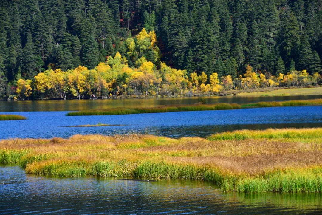 普达措国家公园&nbsp;石显尧 摄