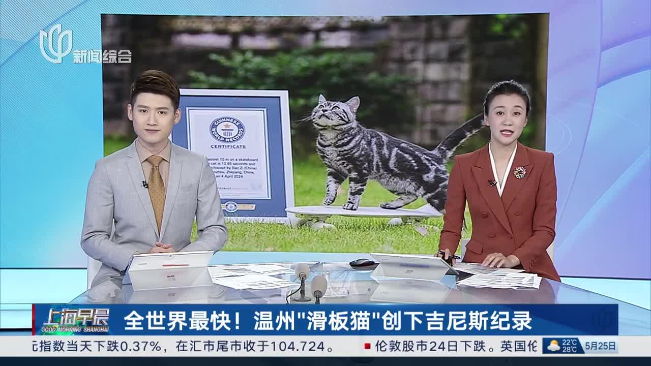 全世界最快!温州"滑板猫"创下吉尼斯纪录