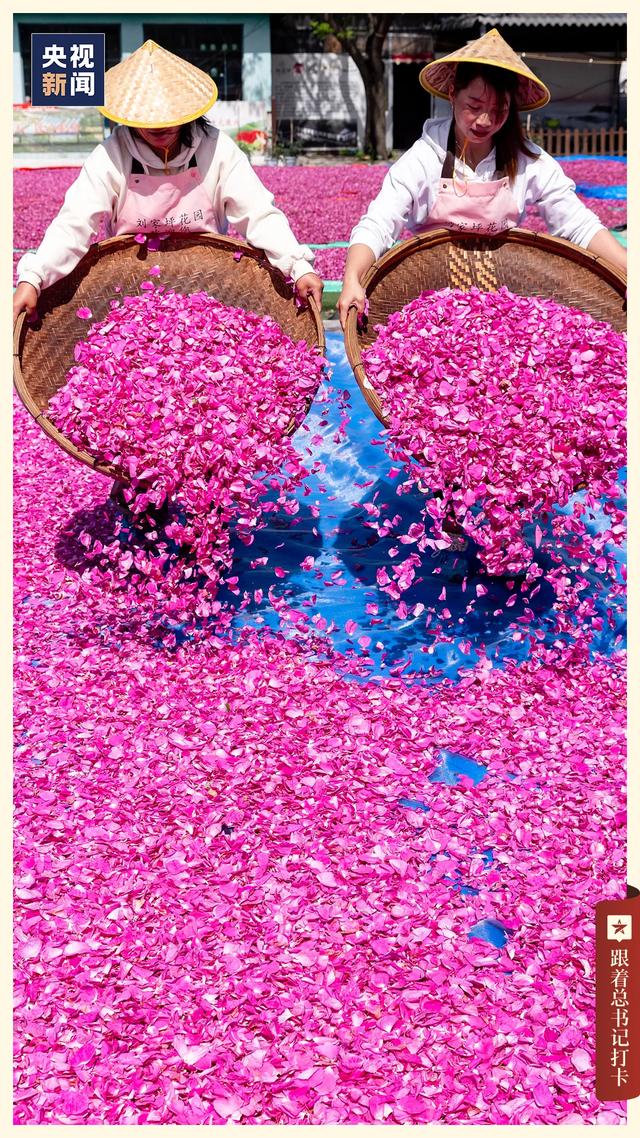 又是被 "日照"的一天