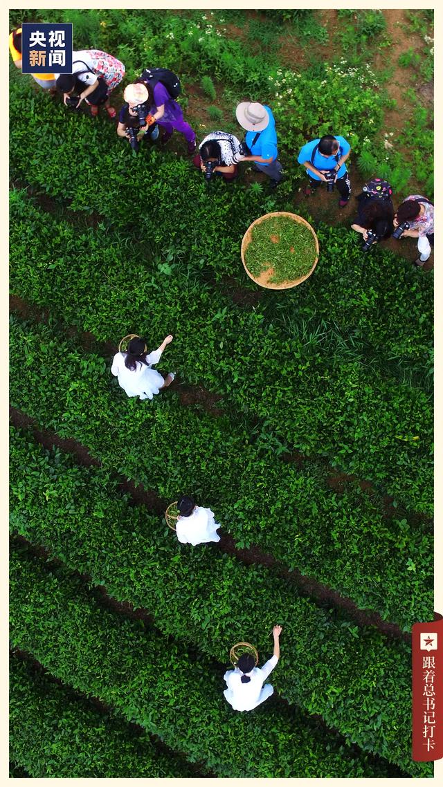 又是被 "日照"的一天