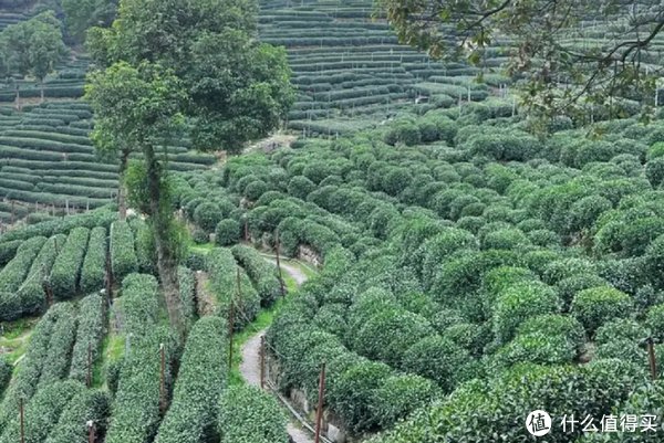 新手如何快速玩转成都与你APP群聊号？快速入门指南