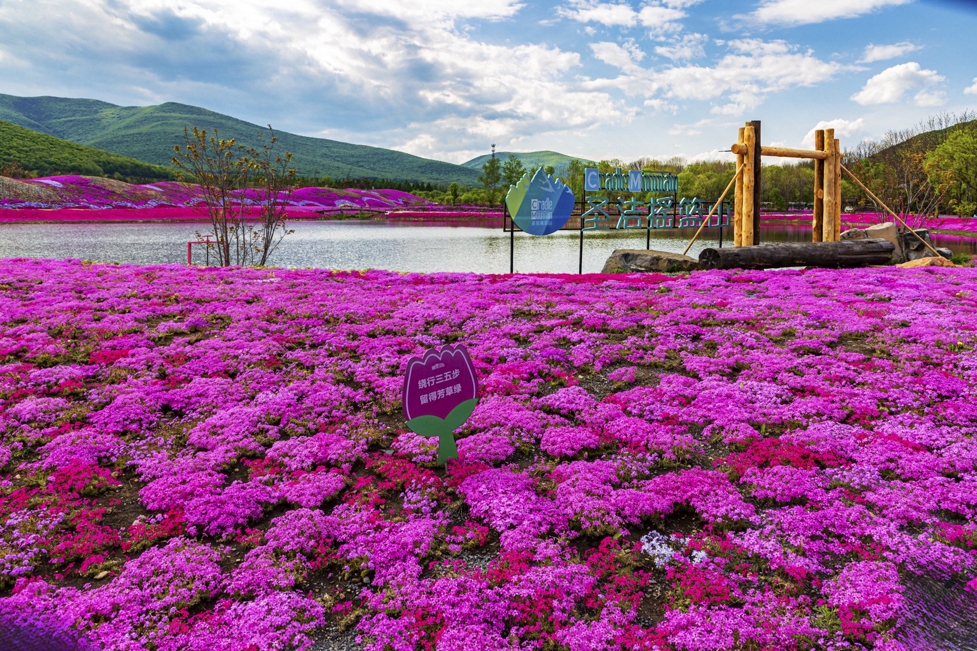 5月26日,丰亨科技612024宝清马拉松在黑龙江省双鸭山市宝清县开跑.