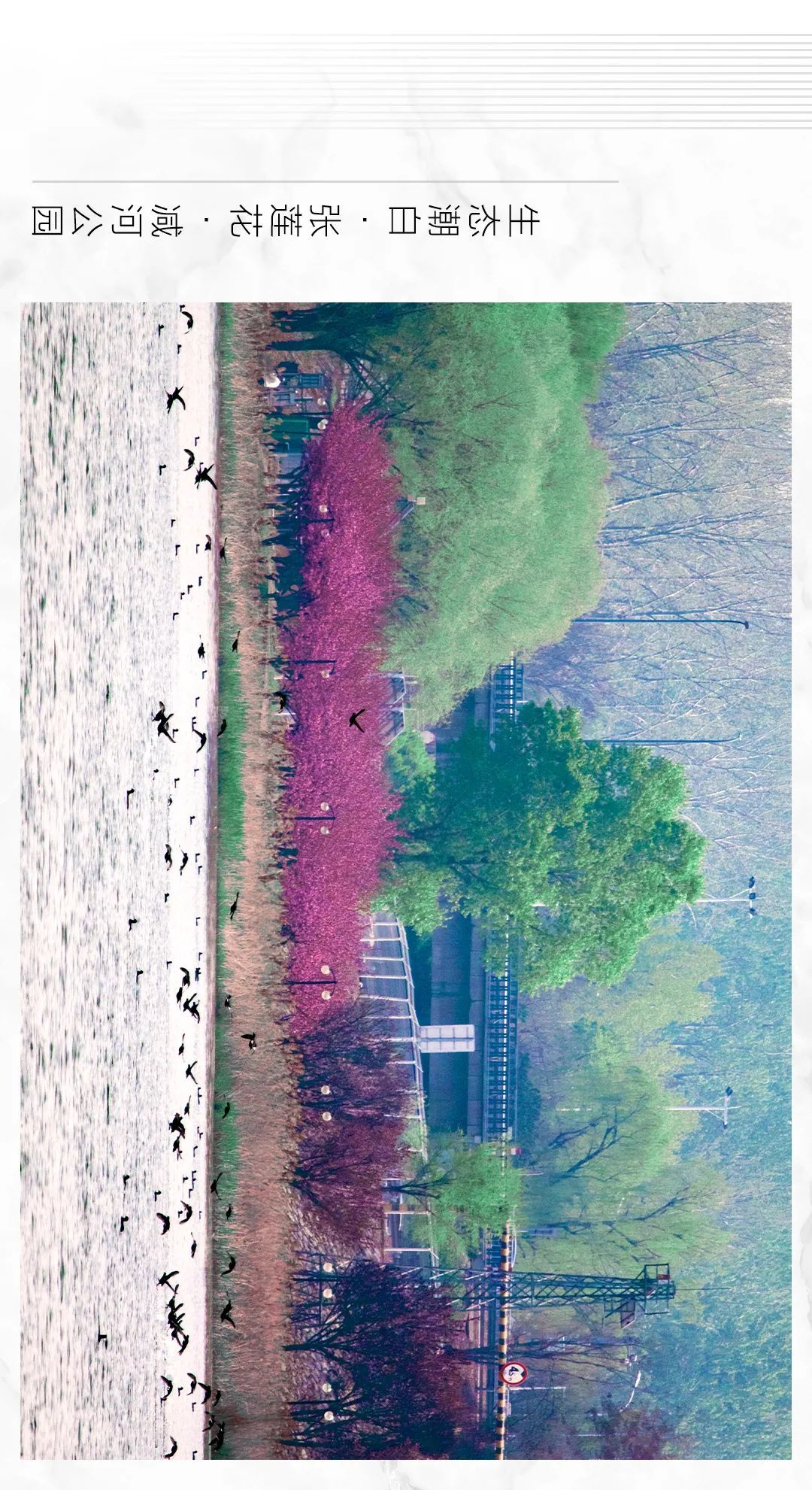 "大美顺义·春日印象"摄影作品展示第二期来了