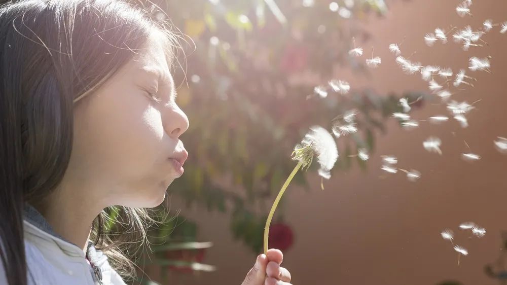 你小时候玩的奥比岛,也许才是真正的成人游戏