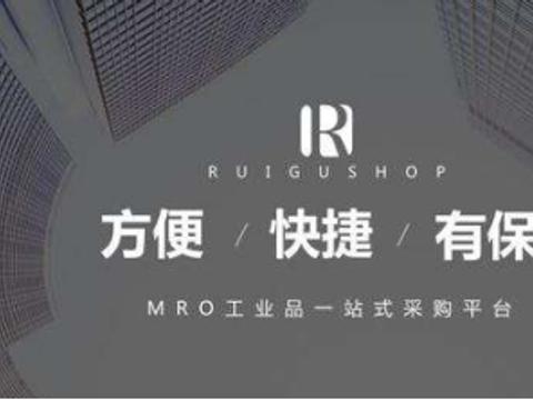 专业抖音seo搜索优化效果