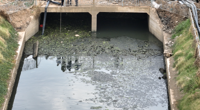 中央环保督察组:昆明丽江普洱生活污水长期直排,黑臭水体整治不力